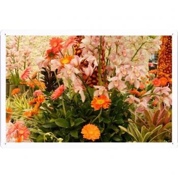 Metal cartel Cartel de chapa Hojalata sesión Flower Tin Sign Orchid Gerbera Flower Flowerbed Beautiful Song 43565 Retro Vintage Pared Decoración by hamgaacaan