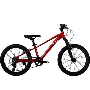 Bicicleta de niños PRO1-24-R-4 Rali