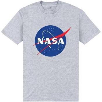 Camiseta Galaxy Unisex Adulto NASA XXL Gris