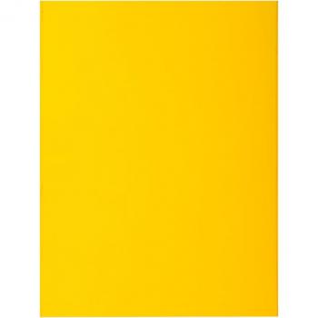 10 packs de 10 Subcarpetas Rock’’s - Exacompta 217111E - 210 g/m2 Limón