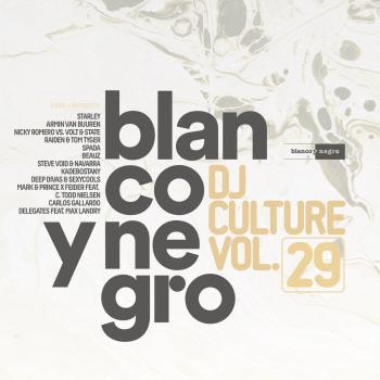 Blanco Y Negro Dj Culture Vol.29