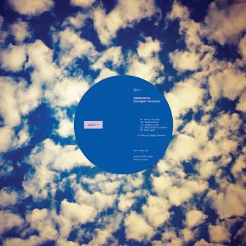 Vinyl Edition of Analogue Creatures