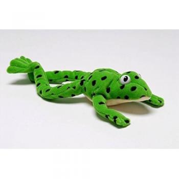 Beanie de Fred Frog - Read Write Inc. Phonics # Individual