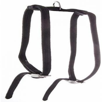 Arnés de nylon para gato Martin Sellier Tub con collar y correa, tamaño 50, ideal para pasear