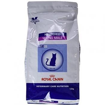 Royal Canin Pienso Neutered Young Male