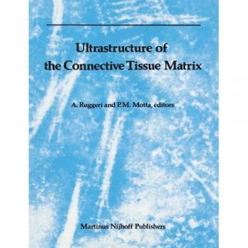 Ultrastructure of the Connective Tissue Matrix