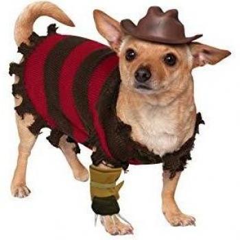 Disfraz para mascota - Freddy Krueger, perro talla S