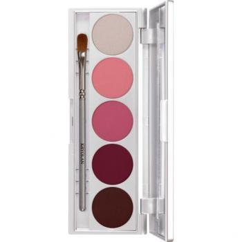 Colorete Shades 5 Colores - Kryolan
