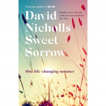 Dulce Tristeza: la nueva novela esperada del autor bestseller de UN DÍA - David Nicholls