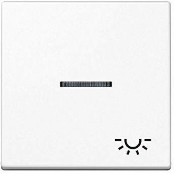Tecla simple visor símbolo luz blanco alpino 0712132739 Jung