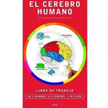 El cerebro humano. Libro de trabajo - DIAMOND, MARIAN C.; SCHEIBEL, A. B.; ELSON, LAWRENCE M.