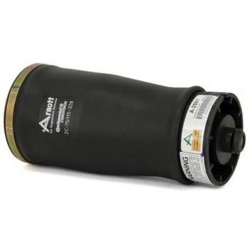 Arnott A-2501 Air Spring de Arnott