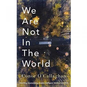 We Are Not en el Mundo - Conor O’Callaghan (Tapa Blanda Grande)