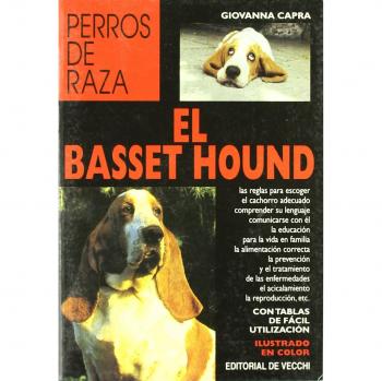 El basset hound