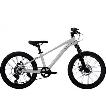 Bicicleta de niños PRO0-24-P-4 Rali