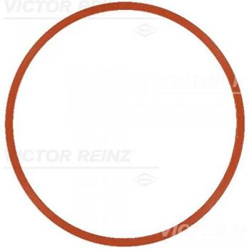 Junta colector de admisión REINZ 71-17585-00