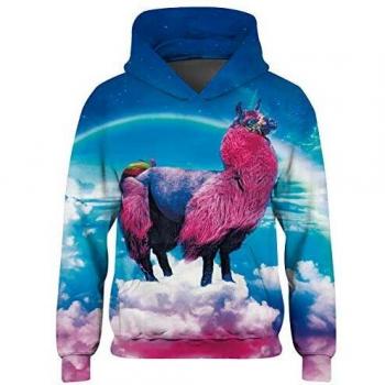Freshhoodies Unisexo Niños Niñas Sudaderas con Capucha 3D Camello Colorida Gráfico Hoodie Pullover Divertido Manga Larga Sudadera Suéter Deporte Capucha Rosa 11-14 Años