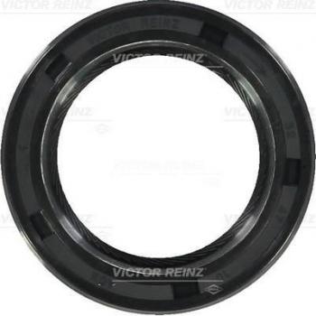 Reinz 81-35909-00 retén de obturación para árbol de levas