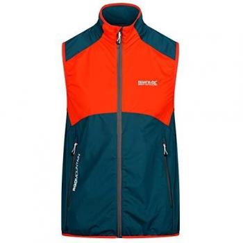 Regatta Mens Lankin II Lightweight Softshell Bodywarmer