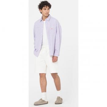 Dickies Mapleton Short Ecru Men's Sports Shorts
