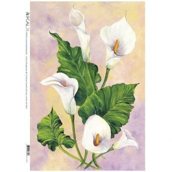 Accademia del Decoupage 32 x 45 cm papel de arroz para lámpara, diseño de lirios
