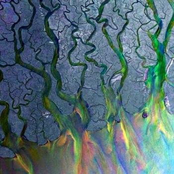 Altj An Awesome Wave vinyl