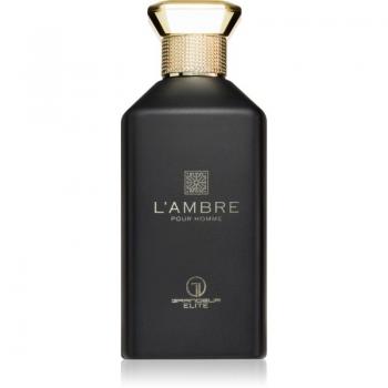 Grandeur L'Ambre Men's Eau de Parfum 100 ml