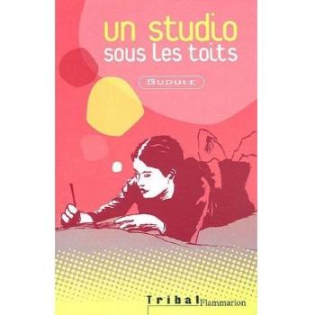 Studio sous les toits