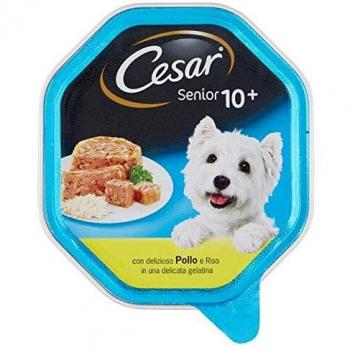 Senior Dog Tarrina with Chicken and Rice 150g