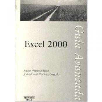 Excel 2000 guia avanzada