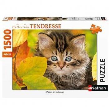 Puzzles Nathan- Puzzle 1500 Piezas Gato en otoño Adulto, Color (Ravensburger 4005556878031
