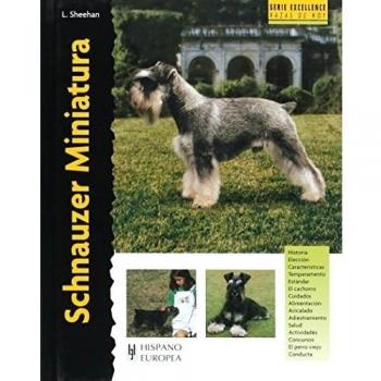 Schnauzer Miniatura