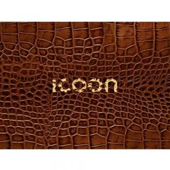 ICOON Cocodrilo. Diccionario visual con 2.000 iconos e imágenes. Bolsillo. Amber Press.: global picture dictionary