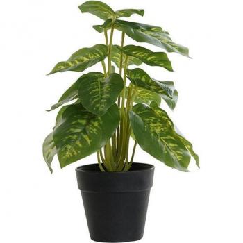 Planta Decorativa DKD Home Decor PVC Polipropileno 20 x 20 x 30 cm - Fíjalo Planta PVC y polipropileno diefembaquia