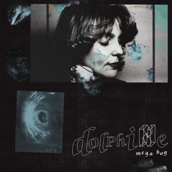 Vinilo Dolphine Mega Bog