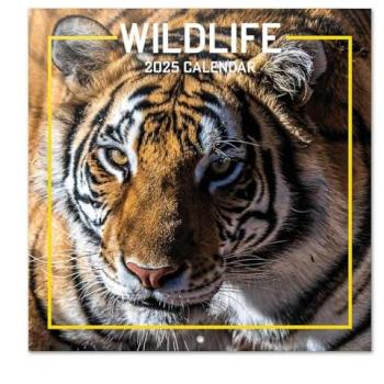 Calendario de pared 2025 Wildlife 30x30 cm multicolor con espacio para anotar e ilustraciones