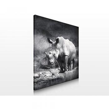 Cuadro de lienzo no.251 Lonesome Rhinoceros 70x70cm, Größe:70cm x 70cm