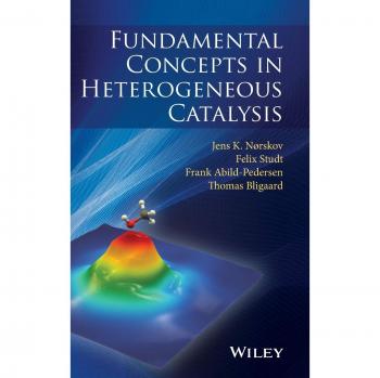 Heterogeneous Catalysis Essentials: Fundamental Concepts (Hardback)
