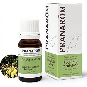 Pranarom Huile Essentielle Eucalyptus Mentholé 10ml
