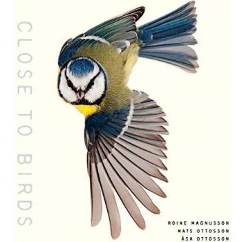 Close to Birds: An Intimate Look at Our Feathered Friends