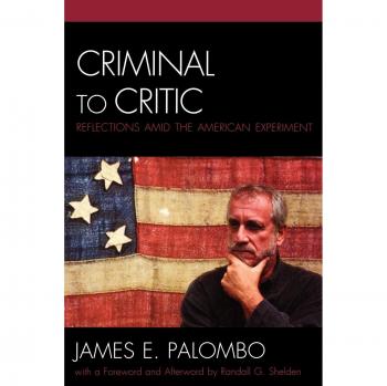 Criminal to Critic: Insights on Crime and Inequality in America (Critical Perspectives Series)