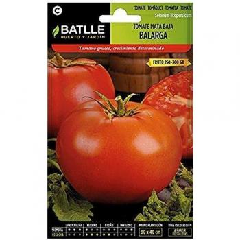 Tomate BALARGA