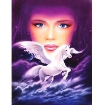 3491 MGL PEGASUS DREAM (Robin Koni) Fine Wall Art Nostalgic Retro de Metal pared publicidad placa decorativa