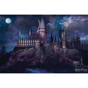 Wizarding World Harry Potter
