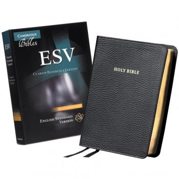 ESV Clarion Reference Edition Black Calf Split Leather ES483:X
