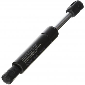 Amortiguador de Maletero a Gas LESJÖFORS 8195032