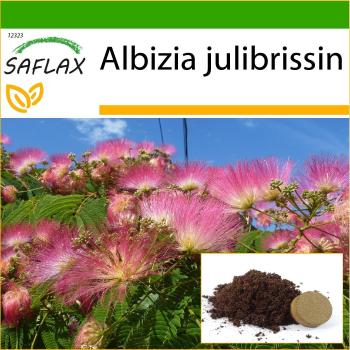 Saflax - Albizia julibrissin - 50 semillas con sustrato para una mejor cultivación
