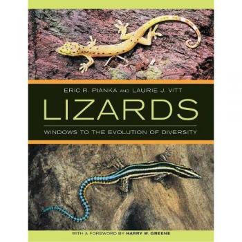Lizards: Windows to the Evolution of Diversity