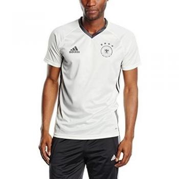 Adidas DFB TRG Jsy - Camiseta para hombre, color blanco / gris