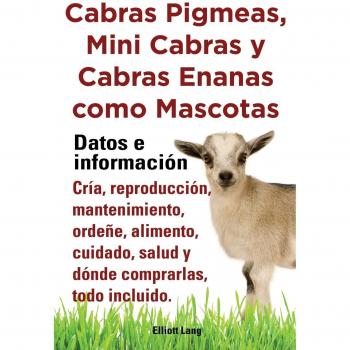 Cabras Pigmeas, Mini Cabras y Cabras Enanas Como Mascota. Datos E Informacion. Cria, Reprodu